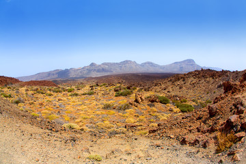 Canary islands in Tenerife Teide National Park