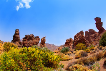 Canary islands in Tenerife Teide National Park