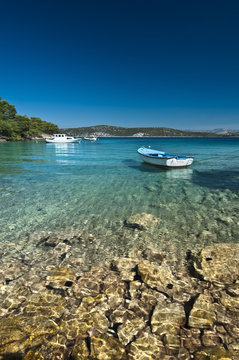 Boat on the water