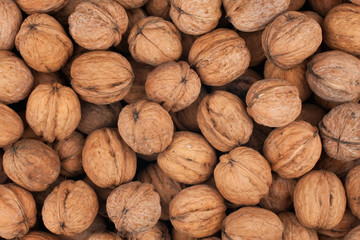 whole walnuts