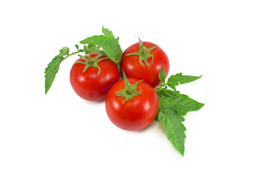 .tomatoes