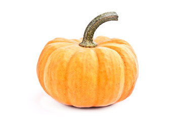Decorative pumpkin squash isolated on white background