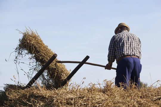 Feldarbeit