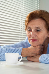Beautiful Caucasian aged woman sitting