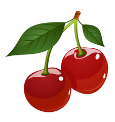 Vector illustration of cherries