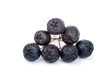 Aronia fruit isolated on white background