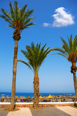 Fototapeta premium Adeje coast Las americas beach in south Tenerife