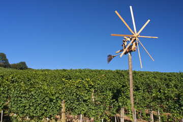 Weinberg und Klapotetz