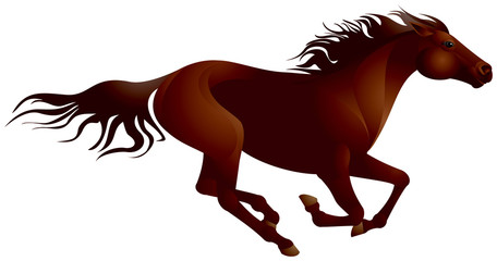 Mustang horse running