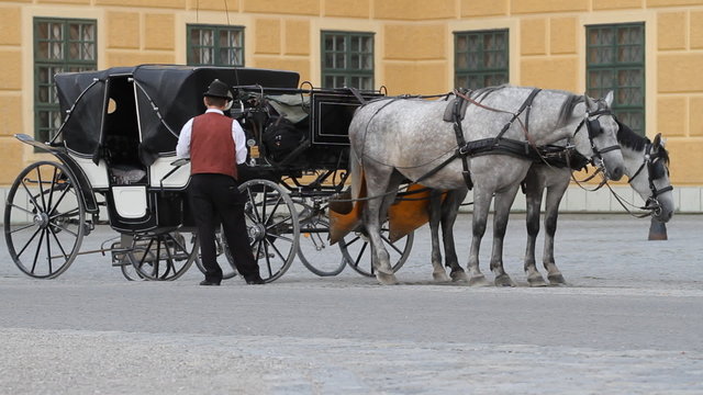 Carriage with horses for hire in Vienna