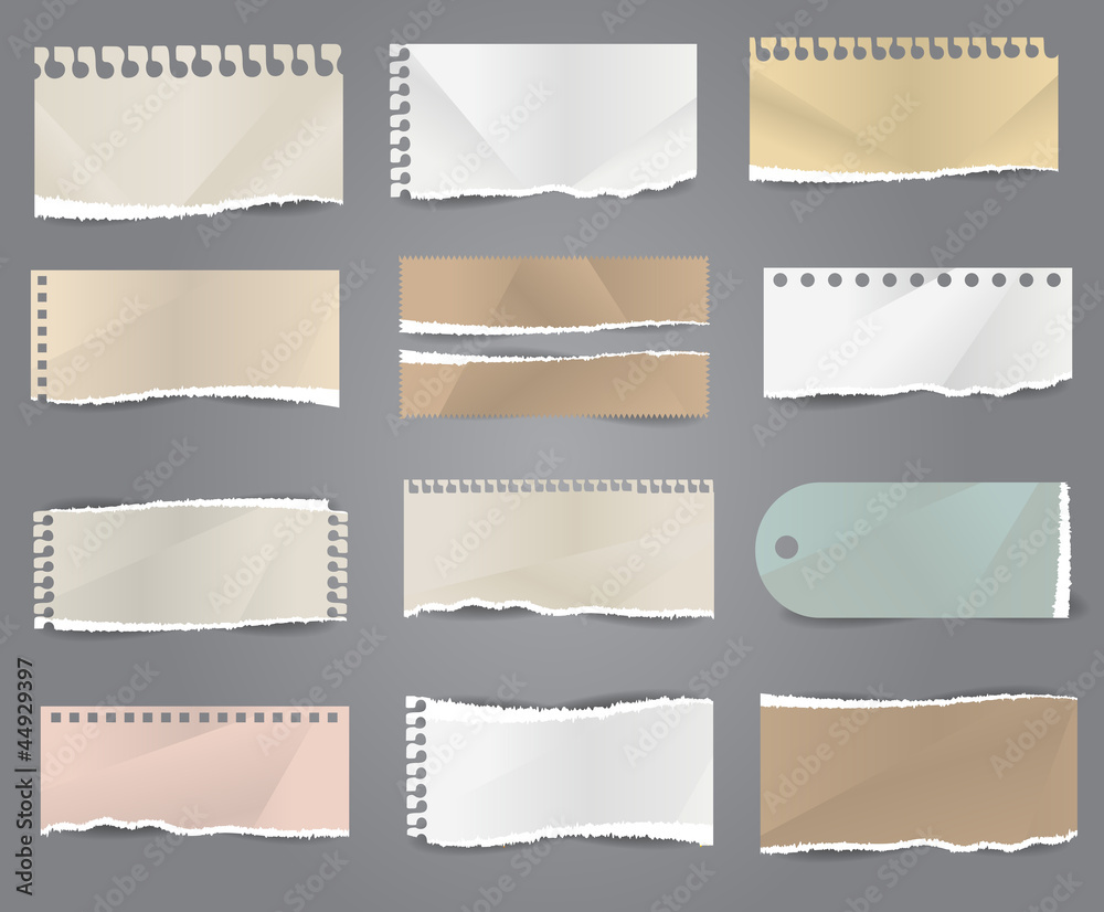 Poster collection of various note papers vector