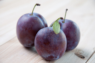 Close-up of three freshly harvested organic plums