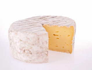 isolated cheese