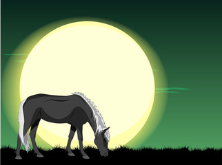 Horse in field under full moon at night