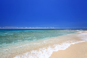 南国の美しいビーチと紺碧の空
