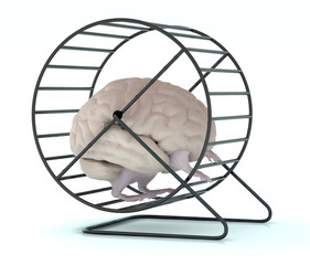 human brain with arms and legs in hamster wheel
