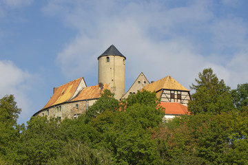 Fototapeta na wymiar Burg Schönfels (Saksonia)