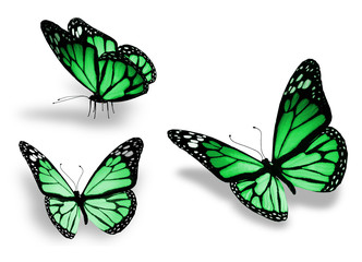 Three green butterfly, isolated on white background