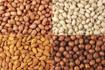 Set of dried nuts
