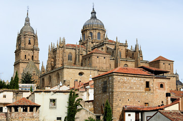 Fototapeta na wymiar rooftops and Cathedral of Salamanca, Spain