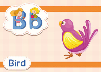 Vocabulary worksheet