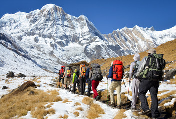 Annapurna Base Camp trekking - obrazy, fototapety, plakaty