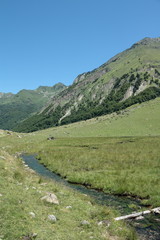 Fototapeta na wymiar Orlu dolina, Midi-Pyrenees