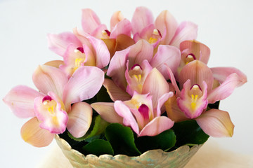 Bouquet of pink orchids in golden vase over white