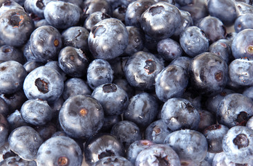 Blueberry