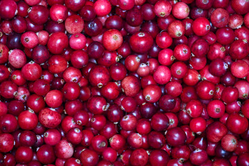 Cranberries