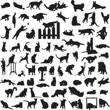 different set of silhouettes of cats