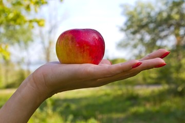 apple on a people palm