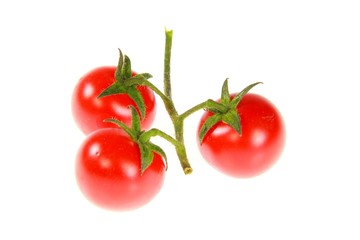 Tomatoes
