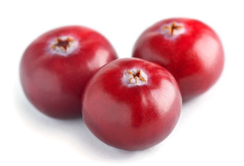 Fototapeta na wymiar Fresh cranberry