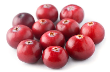 Fresh cranberry