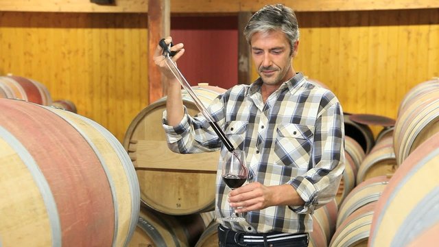 Winemaker getting sample of red wine from barrel