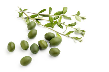 green olives with olive branch