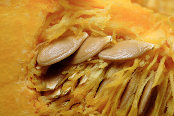 Raw pumpkin with seeds, full frame