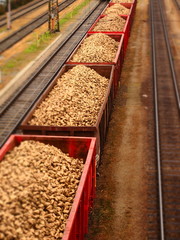 Eisenbahn transportiert Zuckerrüben