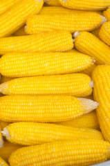 Sweet Corns