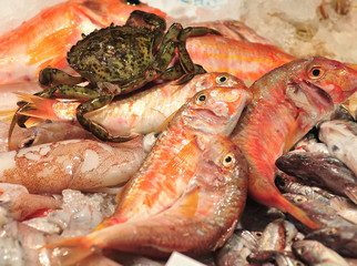 fresh crab and fishes on ice