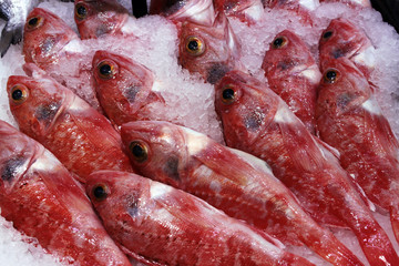 Fish red