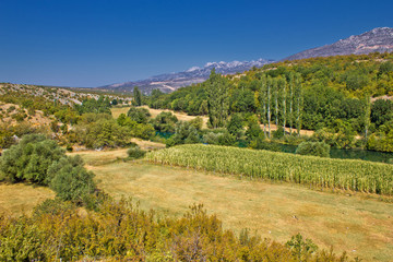 Fototapeta na wymiar Zielony krajobraz doliny rzeki lub Zrmanja