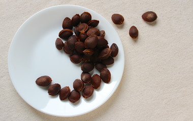 Yin Apricot seeds