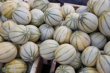 Melons at a market