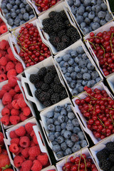 blue and red berries