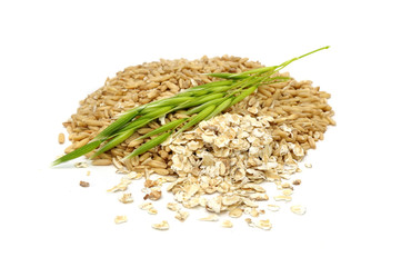 Whole Oats, Oat Flakes and Ear of Oats Isolated on White