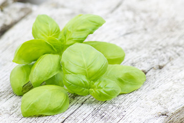 Fresh basil on old wooden background