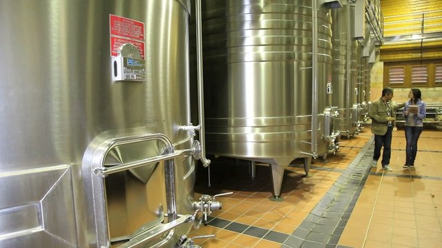 Winemaker showing stainless steel tanks to client