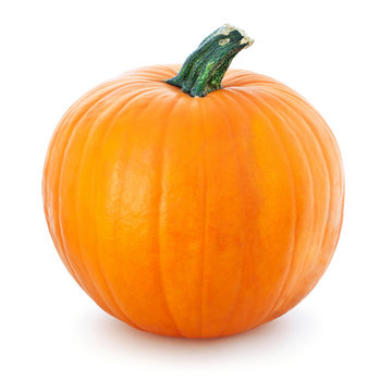 Big Yellow Pumpkin  On A White Background.